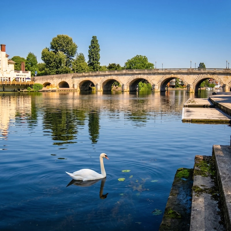 Picture Hanging Maidenhead